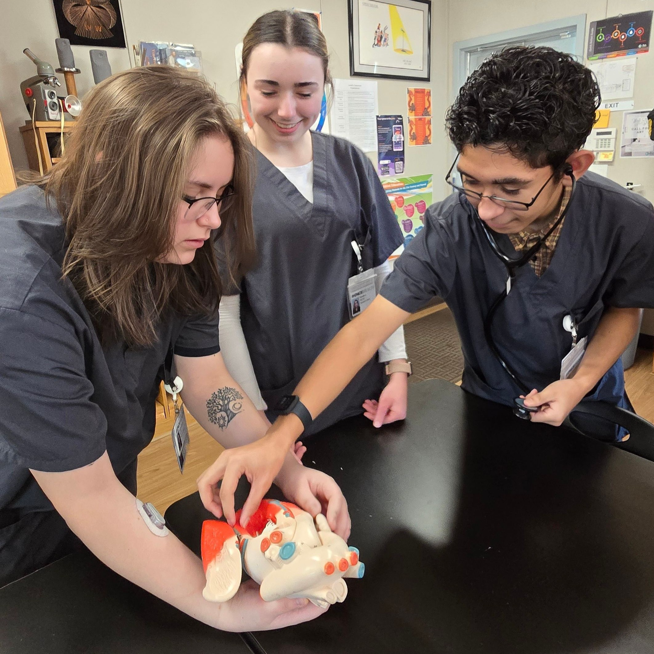 Students engaged in learning with an anatomical heart.