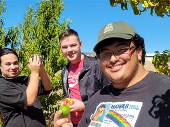 Tasting fruits grown in school garden