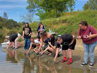 Releasing Salmon Fry into the Feather River